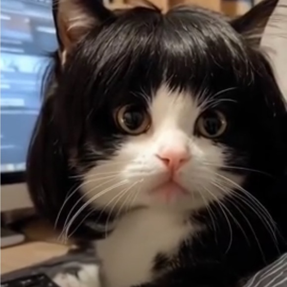 vampbabyel